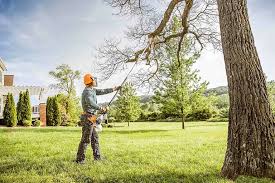 Best Leaf Removal  in West Bishop, CA